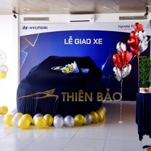 Áo phủ giao xe showroom